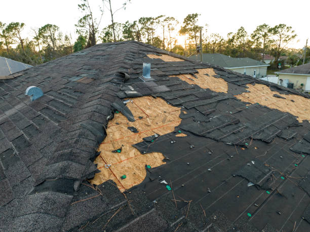 Best Roof Insulation Installation  in Progreso, TX